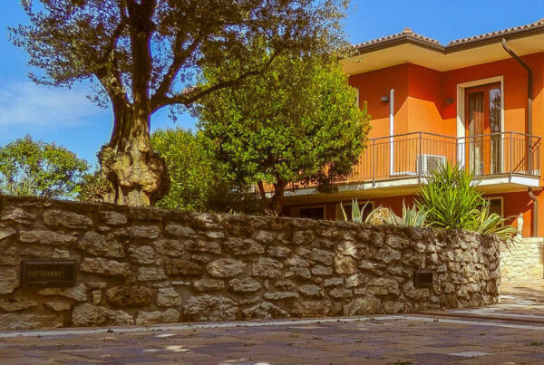 Una villa tra gli ulivi, dove ogni giornata profuma di libertà