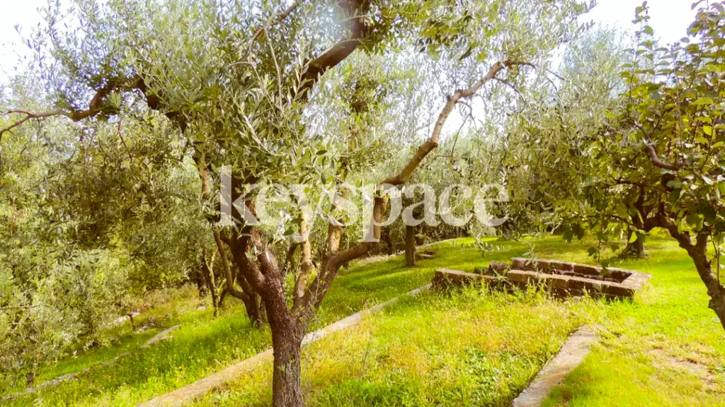 Casa Villa Montecchio Maggiore, Singola – Zona Bernuffi – Agenzia immobiliare a Vicenza e provincia | Keyspace